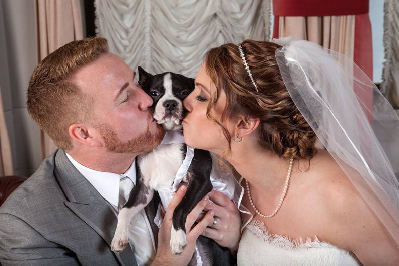 Their dog - a Boston Terrier - was an important part of their life and wedding.