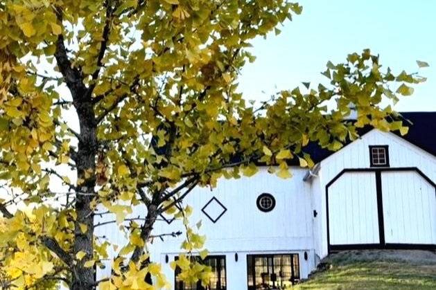 Barn Wedding