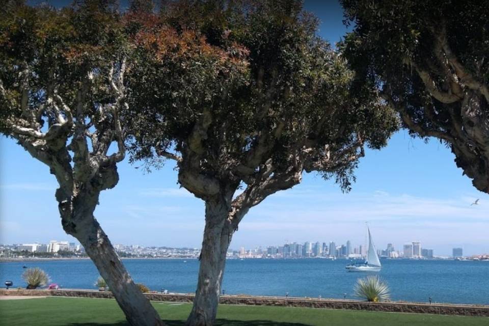 Views of San Diego