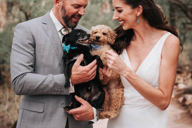 Mom, Dad and Pups