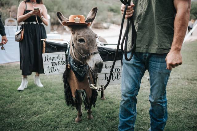 Beer Burro