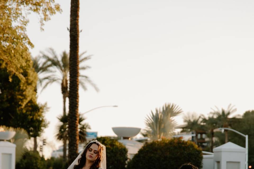 Bride and Groom Portraits