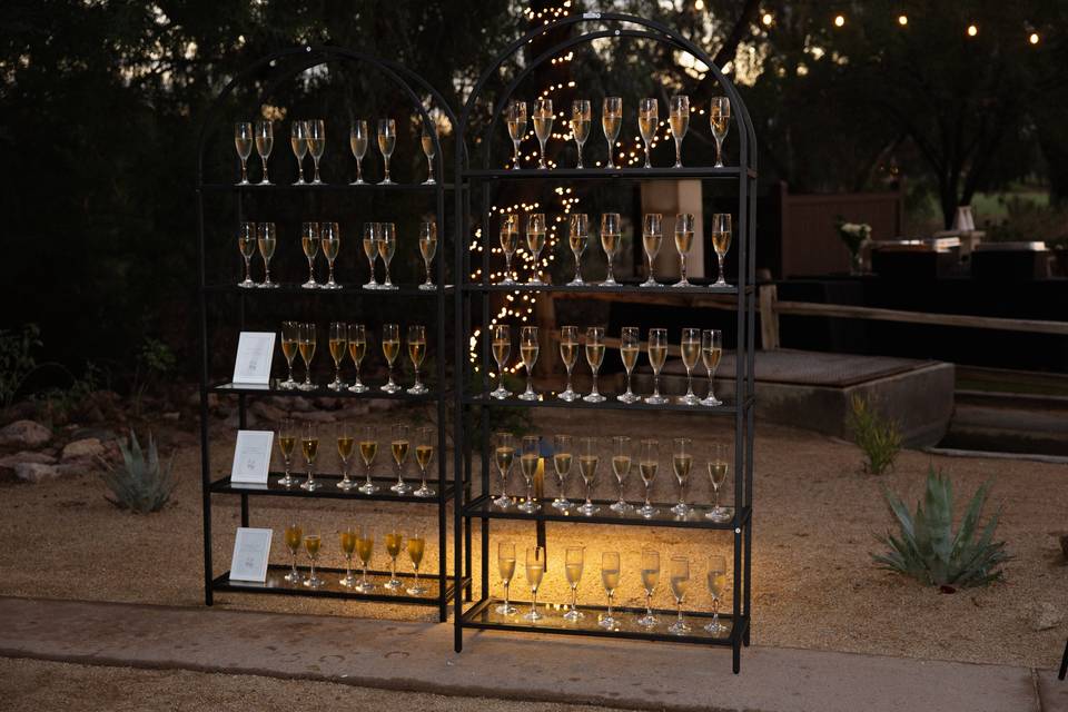 Champagne Bookshelf