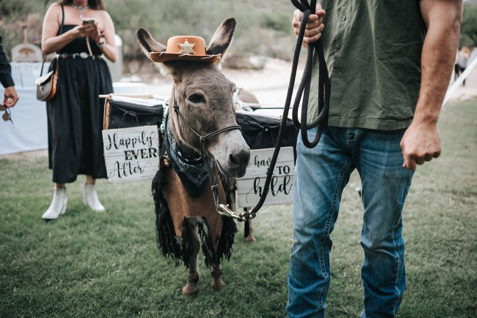 Beer Burro