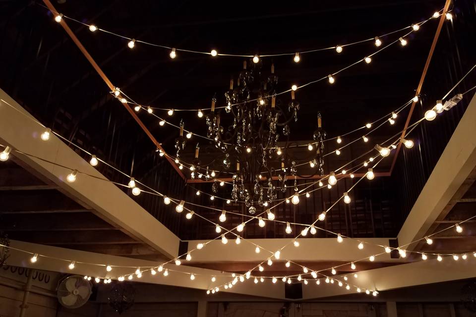 String Lighting The Rafters