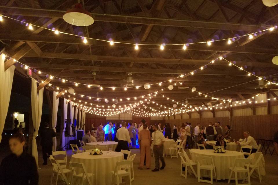 Barn String Lighting & Drape