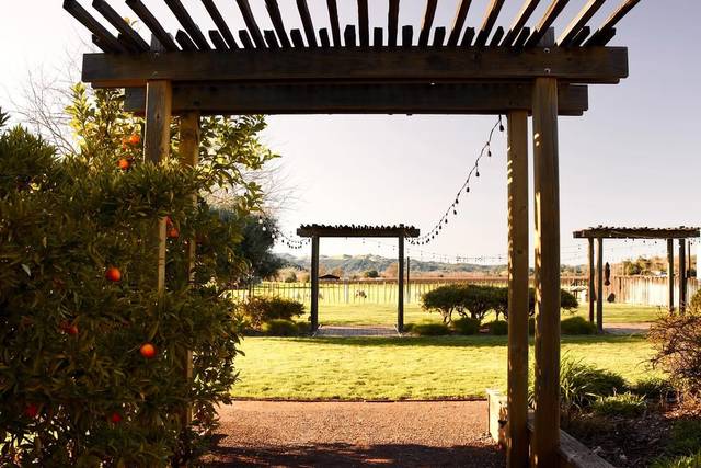 aesthete wines & farm