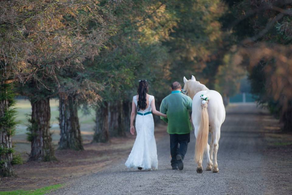 The couple besides a horse