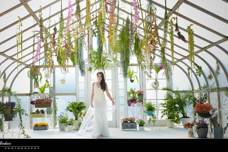 Greenhouse Bride