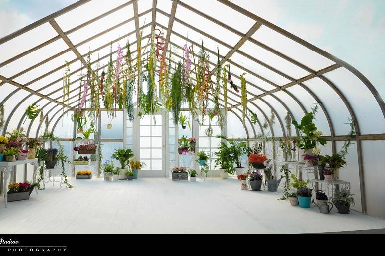 Greenhouse Wedding Arch Miami