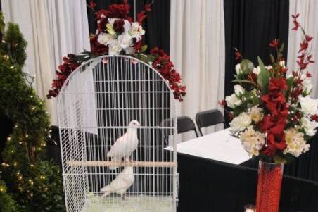 Wedding doves