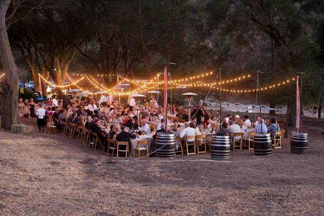 Taylor Rental Party Plus