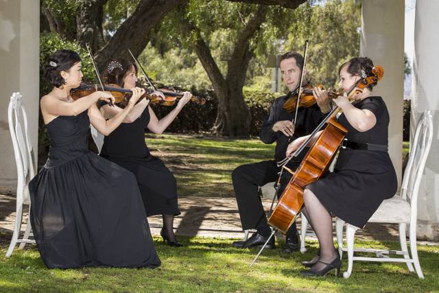 Eliana Strings