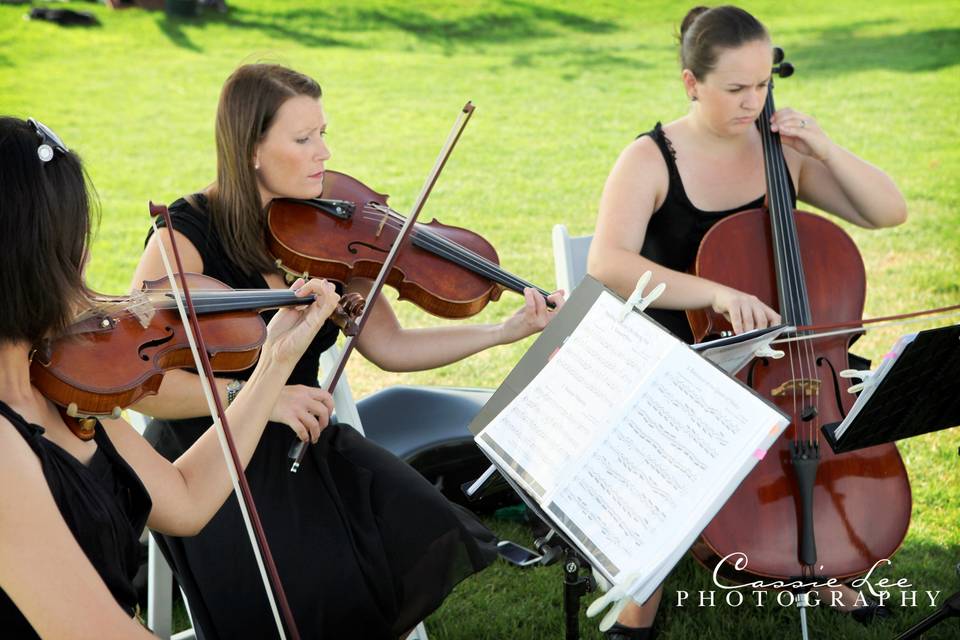 Strings trio