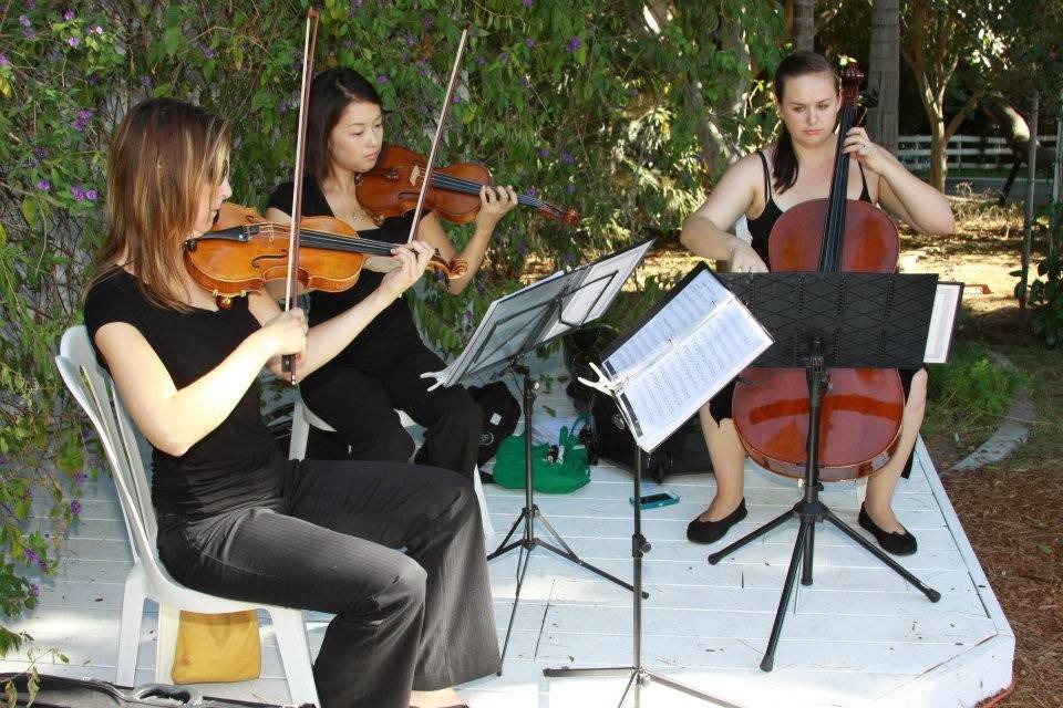 Strings trio