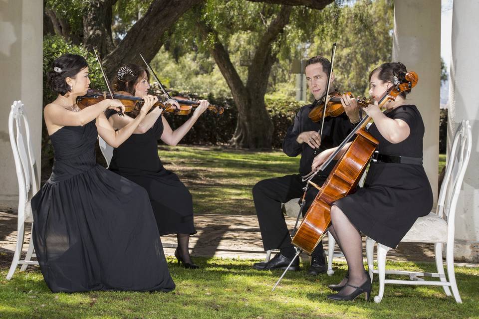 Strings quartet