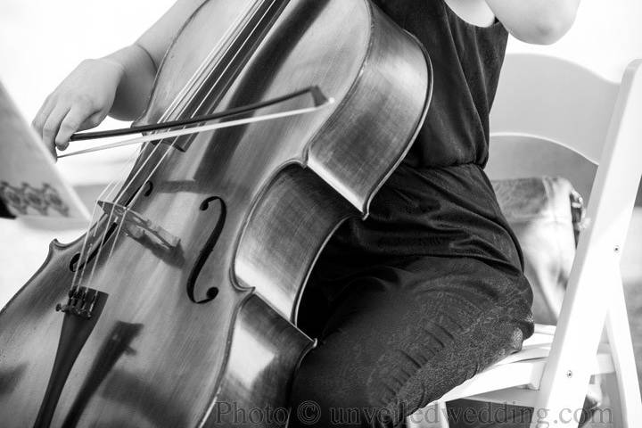 Cellist