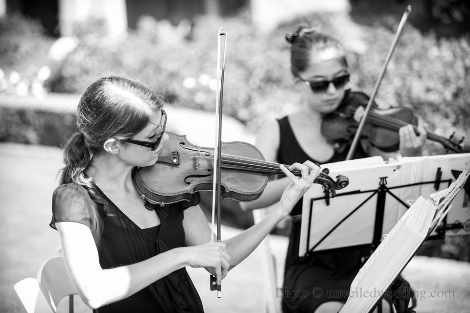 The violinists