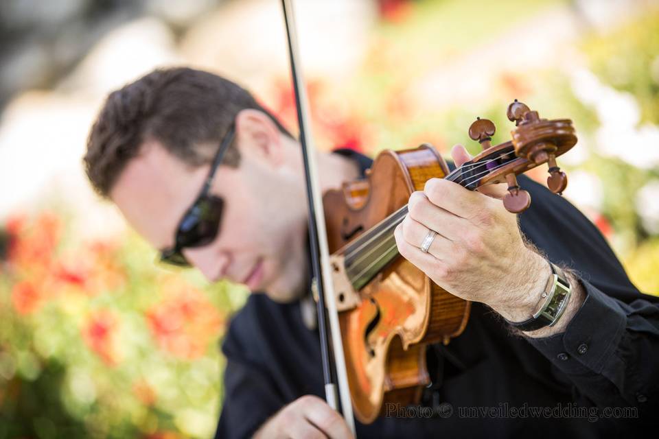 String musician