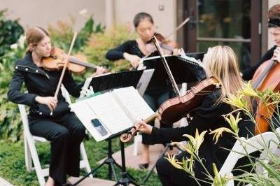 Strings quartet