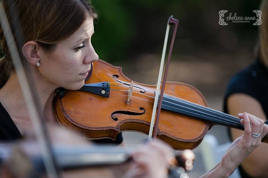 Violinist