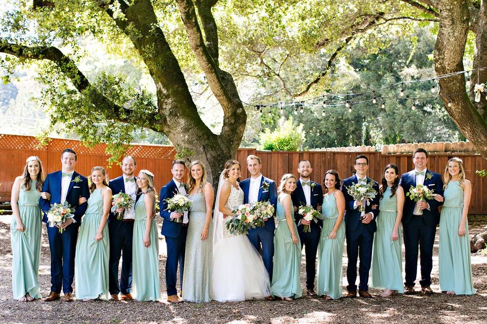 Newlyweds, bridesmaids, and groomsmen