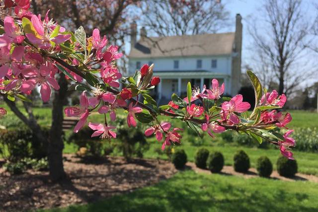 Springtime