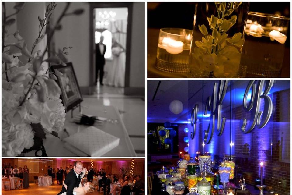 Loxodonta Weddings and Events