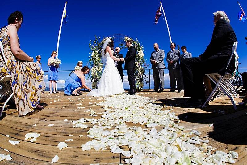 Petals scattered across the wedding aisle