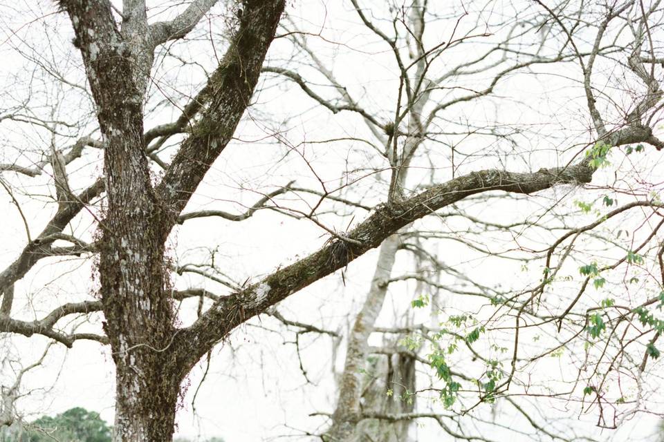 Okeechobee Florida Engagement