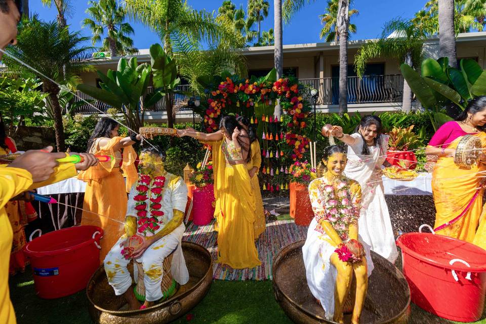 The Garden