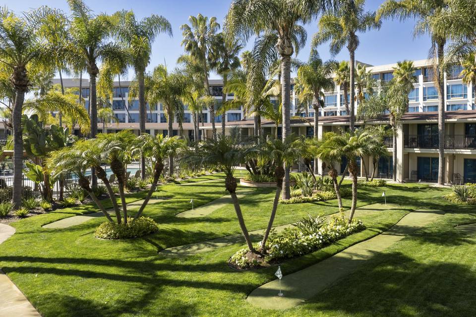 The Lawn
