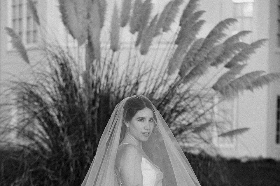 Gorgeous veil shots