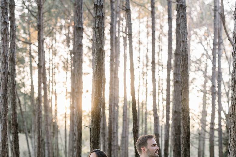 Love in the trees
