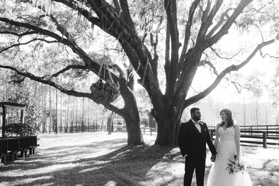 Love under the oaks
