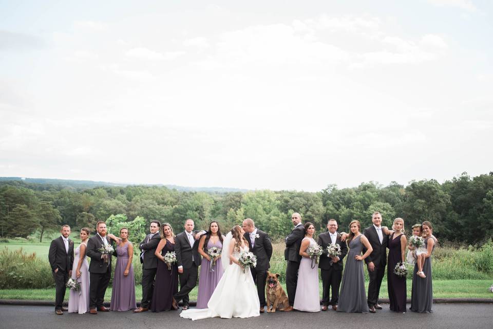 Dog wedding