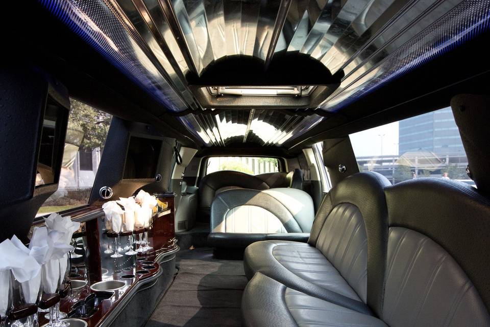 Motor City Limousine