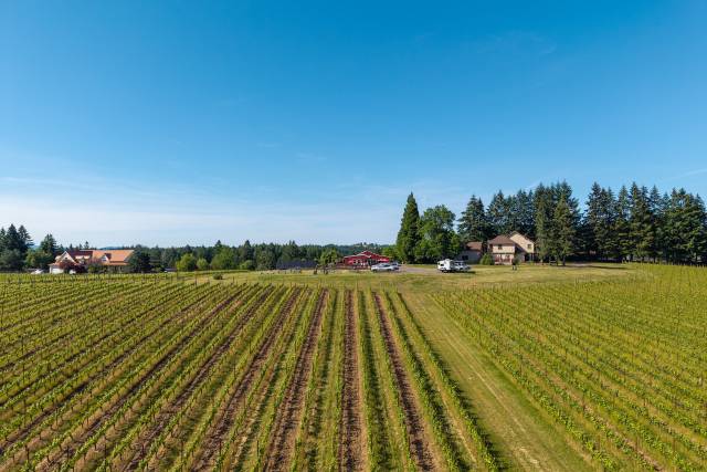 DJI_20260523165434_0319_D.jpg