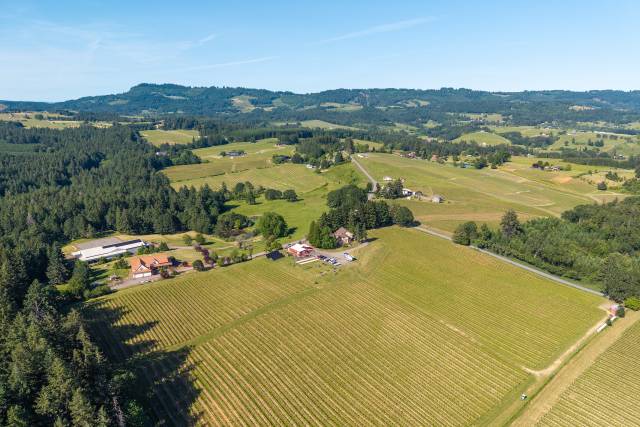 DJI_20260523165816_0328_D.jpg