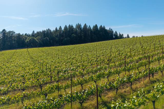 DJI_20260523171333_0355_D.jpg