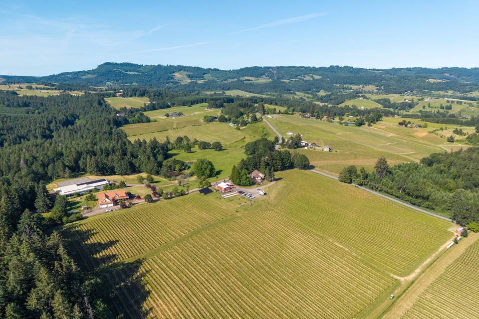DJI_20260523165816_0328_D.jpg