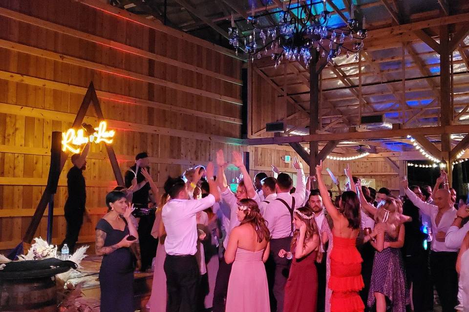 TOP TIER - Nashville's Premier Wedding & Corporate Band and DJ Services   Your Band and DJ for Weddings, College Functions, Festivals, Class  Reunions, Military Balls, Corporate Events, Fundraisers, Birthday Bashes,  Holiday