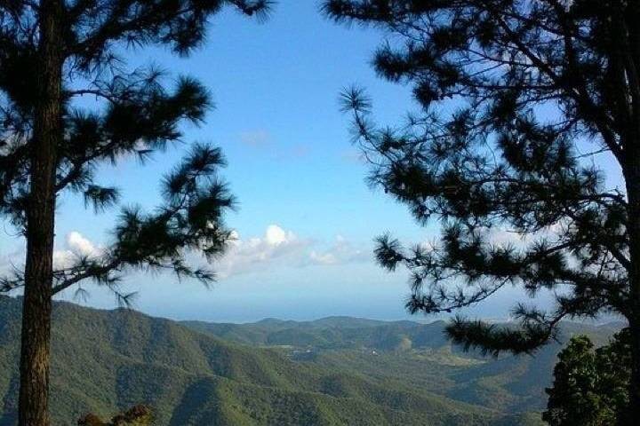 The Sand and The Sea Cayey