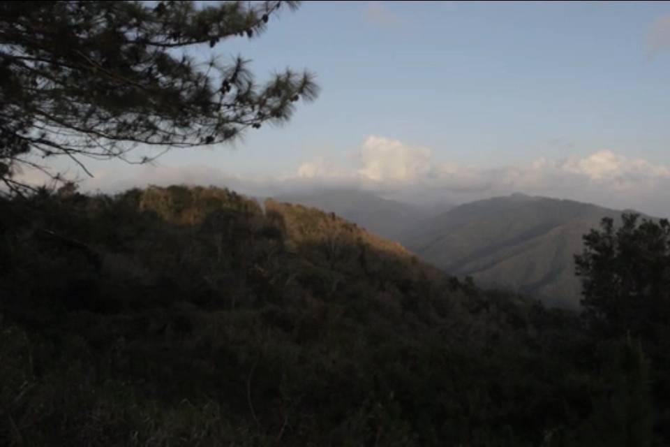 The Sand and The Sea Cayey