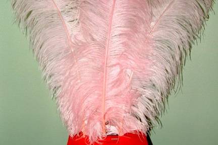Light Pink Ostrich feathers.  The largest of these beautiful professionally dyed prime femina tail feathers are available in the following sizes: 25-30