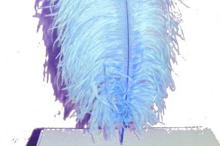 Light Blue Ostrich feathers. Always elegant, always stunning, ostrich feathers are useful in floral and decorative displays.  We carry ostrich feathers in 28 colors & 5 size option.!Beautiful professionally dyed prime femina tail feathers are available in the following sizes: 25-30