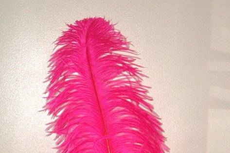 Hot Pink Ostrich feathers. Always elegant, always stunning, ostrich feathers are useful in floral and decorative displays.  We carry ostrich feathers in 28 colors & 5 size options!The largest of these beautiful professionally dyed prime femina tail feathers are available in the following sizes: 25-30
