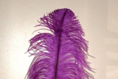 Plum Purple Ostrich feathers. Always elegant, always stunning, ostrich feathers are useful in floral and decorative displays.  We carry ostrich feathers in 28 colors & 5 size options,The largest of these beautiful professionally dyed prime femina tail feathers are available in the following sizes: 25-30