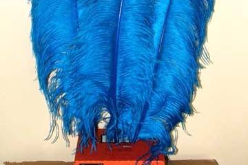 Turquoise Blue Ostrich feathers. Always elegant, always stunning, ostrich feathers are useful in floral and decorative displays.  We carry ostrich feathers in 28 colors & 5 size options,The largest of these beautiful professionally dyed prime femina tail feathers are available in the following sizes: 25-30