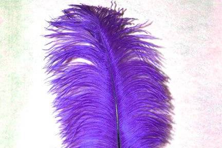 Regal Purple Ostrich feathers. Always elegant, always stunning, ostrich feathers are useful in floral and decorative displays.  We carry ostrich feathers in 28 colors & 5 size options,The largest of these beautiful professionally dyed prime femina tail feathers are available in the following sizes: 25-30